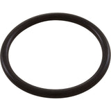 O-Ring, Waterco HydroStorm/Plus, Union : W02280