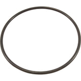 O-Ring, Waterco Hydrostorm Plus, Trap Lid : WC61214
