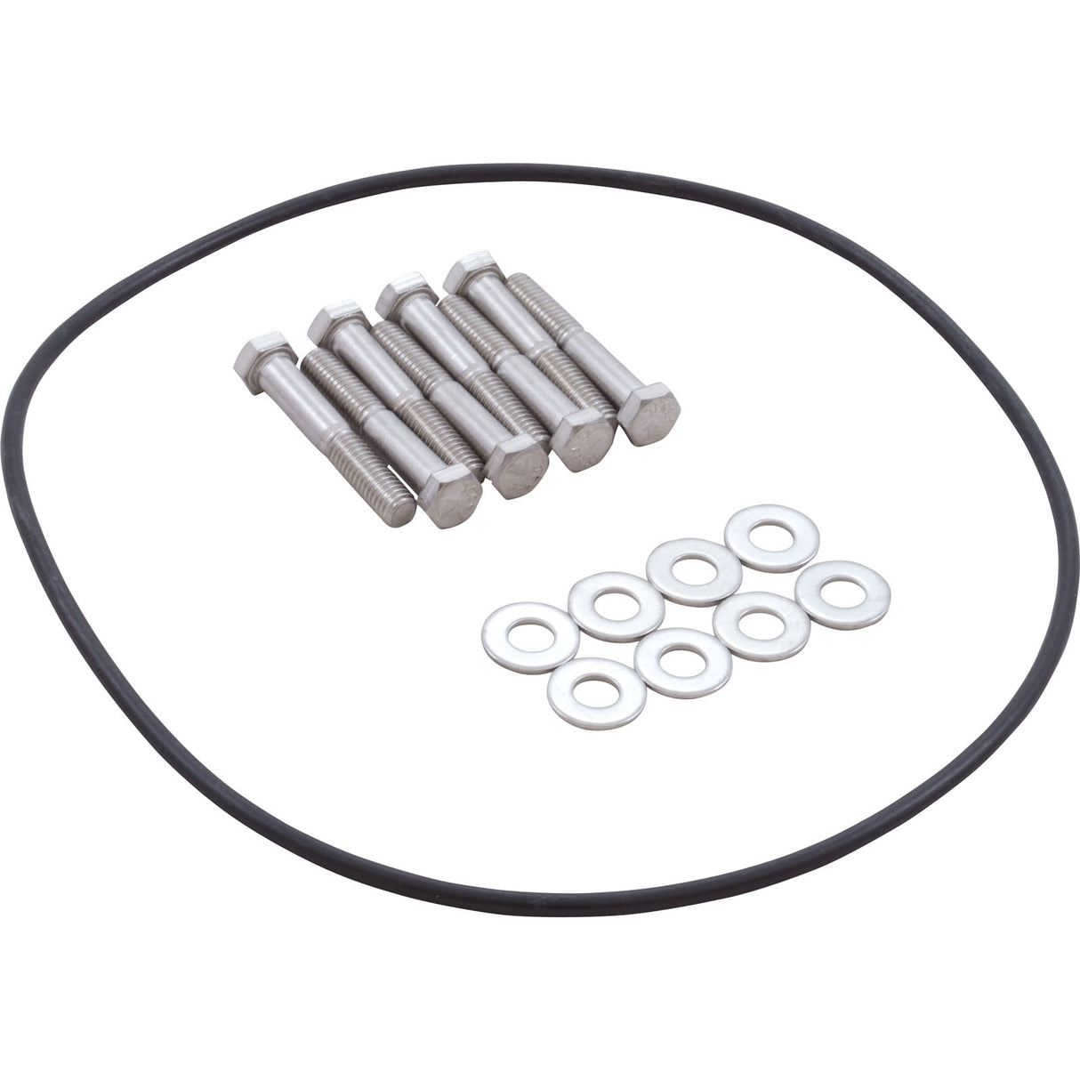 Seal Plate, Zodiac/Jandy Pro Series, w/Hardware : R0445201