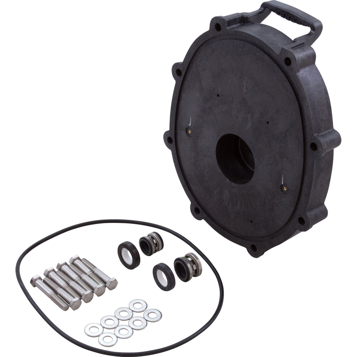 Seal Plate, Zodiac/Jandy Pro Series, w/Hardware : R0445201