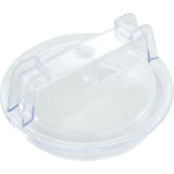 Trap Lid, Val-Pak AquaFlo Dominator, Post 2010 : V26-361 - Val-Pak - 811636021303 - PartsForSpas.com