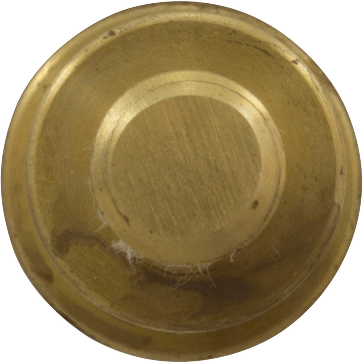 Pump Stub Shaft, Sta-Rite XL-7 Series, Brass : V22-112
