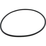 O-Ring, Speck 433 X-Large Tank, Lid : 2920941210 - Speck Pumps - 2920941210 - PartsForSpas.com