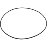 O-Ring, Speck 94/95-V/VI/VII, Confusor, O-408 : 2902041251