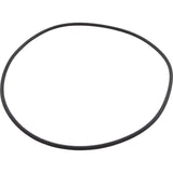O-Ring, Speck 95 All Models, Lid : 2902041210
