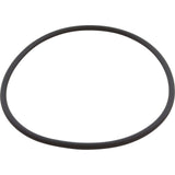 O-Ring, Speck 95 All Models, Body : 2902041220