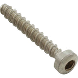 Screw, Speck 95 All Models/94, All Head, M7 x 48mm : 2921690002 - Speck Pumps - 2921690002 - PartsForSpas.com