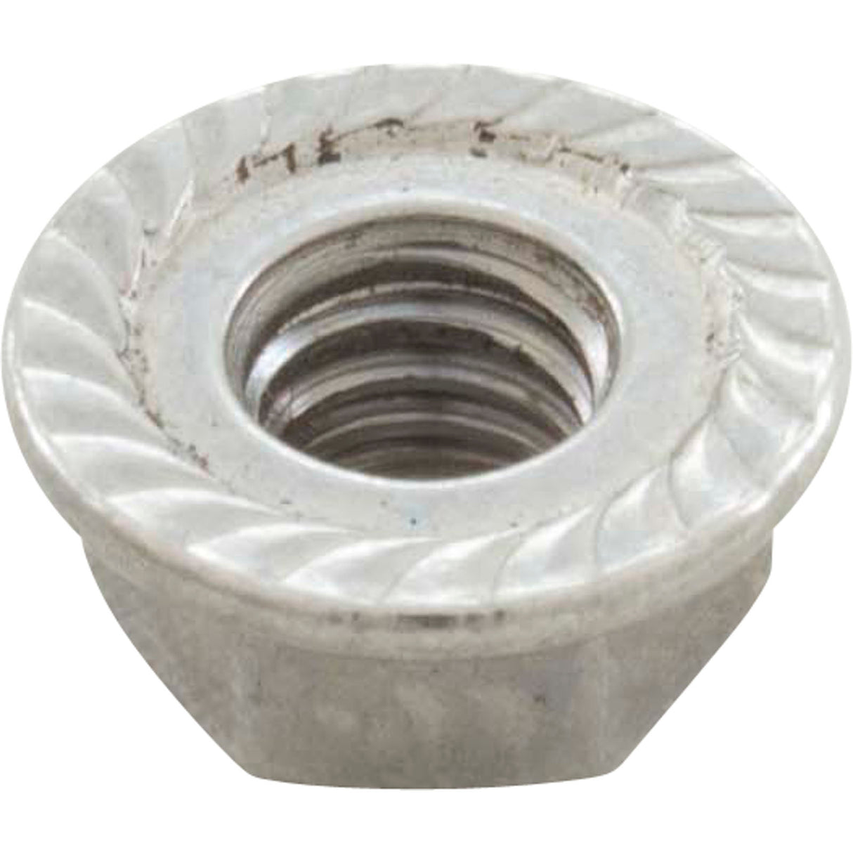 Nut, Speck 95 All Models, Motor Mouting Plate Bolt, M6 Serrated : 2921192015 - Speck Pumps - 2921192015 - PartsForSpas.com