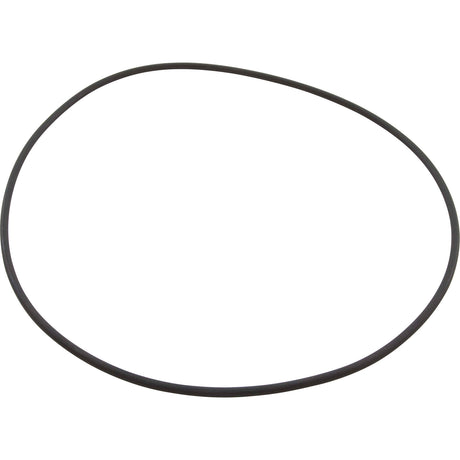 O-Ring, Speck 21-80 GS, Suction Housing : 2923241200 - Speck Pumps - 2923241200 - PartsForSpas.com