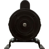 Motor, Century, 4.0hp, 208v-230v/460v, 1-Spd, 3ph, 56Cfr Thd : 0818102500 - Speck Pumps - 0818102500 - PartsForSpas.com