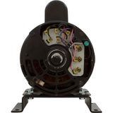 Motor, Century, 4.0hp, 208v-230v/460v, 1-Spd, 3ph, 56Cfr Thd : 0818102500 - Speck Pumps - 0818102500 - PartsForSpas.com