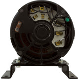 Motor, Century, 6.0thp, 208v-230v/460v, 3ph, 1-Spd, 56Cfr Thd : 0818616400 - Speck Pumps - 0818616400 - PartsForSpas.com