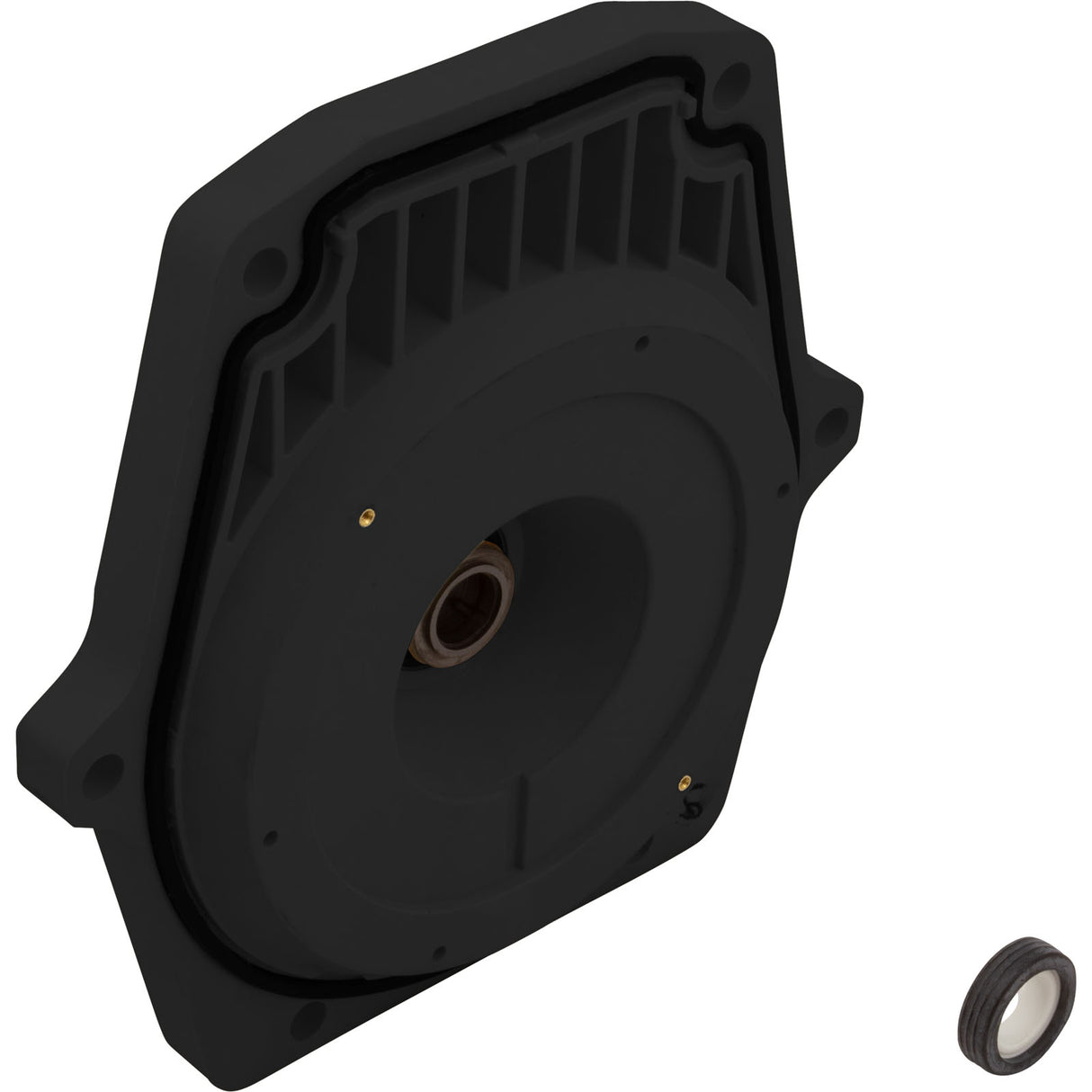 Kit Slpl Test Wf/Intfl Blk W/Gskt : 350198 - Pentair - 788379849177 - PartsForSpas.com
