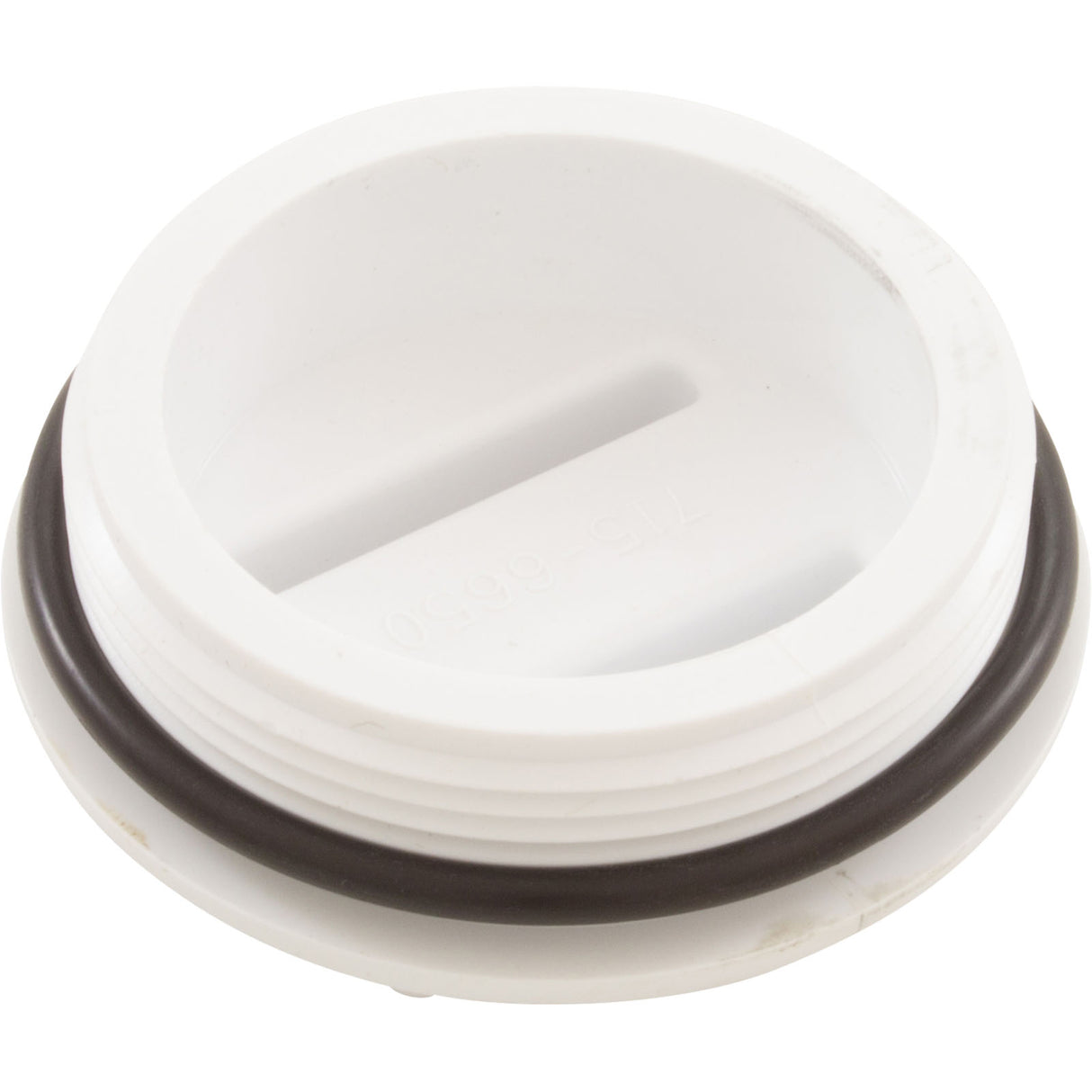2"N.P.T. Plug W/Oring : 400-6650 - Waterway Plastics - 806105082299 - PartsForSpas.com