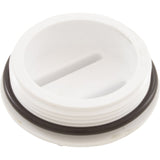 2"N.P.T. Plug W/Oring : 400-6650 - Waterway Plastics - 806105082299 - PartsForSpas.com