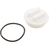 2"N.P.T. Plug W/Oring : 400-6650 - Waterway Plastics - 806105082299 - PartsForSpas.com