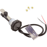 Flow Switch, Pentair IChlor, 1/2" Male Pipe Thread : 523100 - Pentair - 788379878788 - PartsForSpas.com