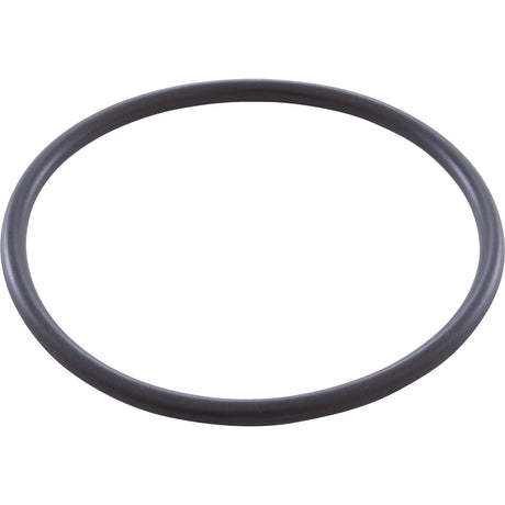 O-Ring, Zodiac DuoClear, Electrode : W151211 - Zodiac - 738919048607 - PartsForSpas.com