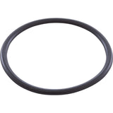 O-Ring, Zodiac Nature2, Lock Ring : W151201 - Zodiac - 738919048263 - PartsForSpas.com