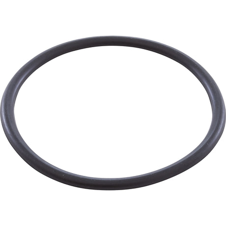 O-Ring, Zodiac Nature2, Lock Ring : W151201 - Zodiac - 738919048263 - PartsForSpas.com