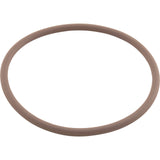 O-Ring, Viton, Zodiac Nature2 Fusion, Large Collar : R0586300