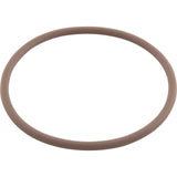 O-Ring, Viton, Zodiac Nature2 Fusion, Large Collar : R0586300