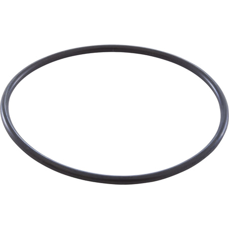O-Ring, Zodiac Jandy AquaPure 2-Port, 2" Union : R0412700 - Zodiac - 052337021302 - PartsForSpas.com