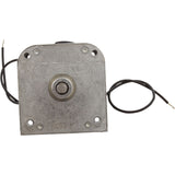 Motor/Gear Assy, Rola-Chem RC25/53, 115v : 521805