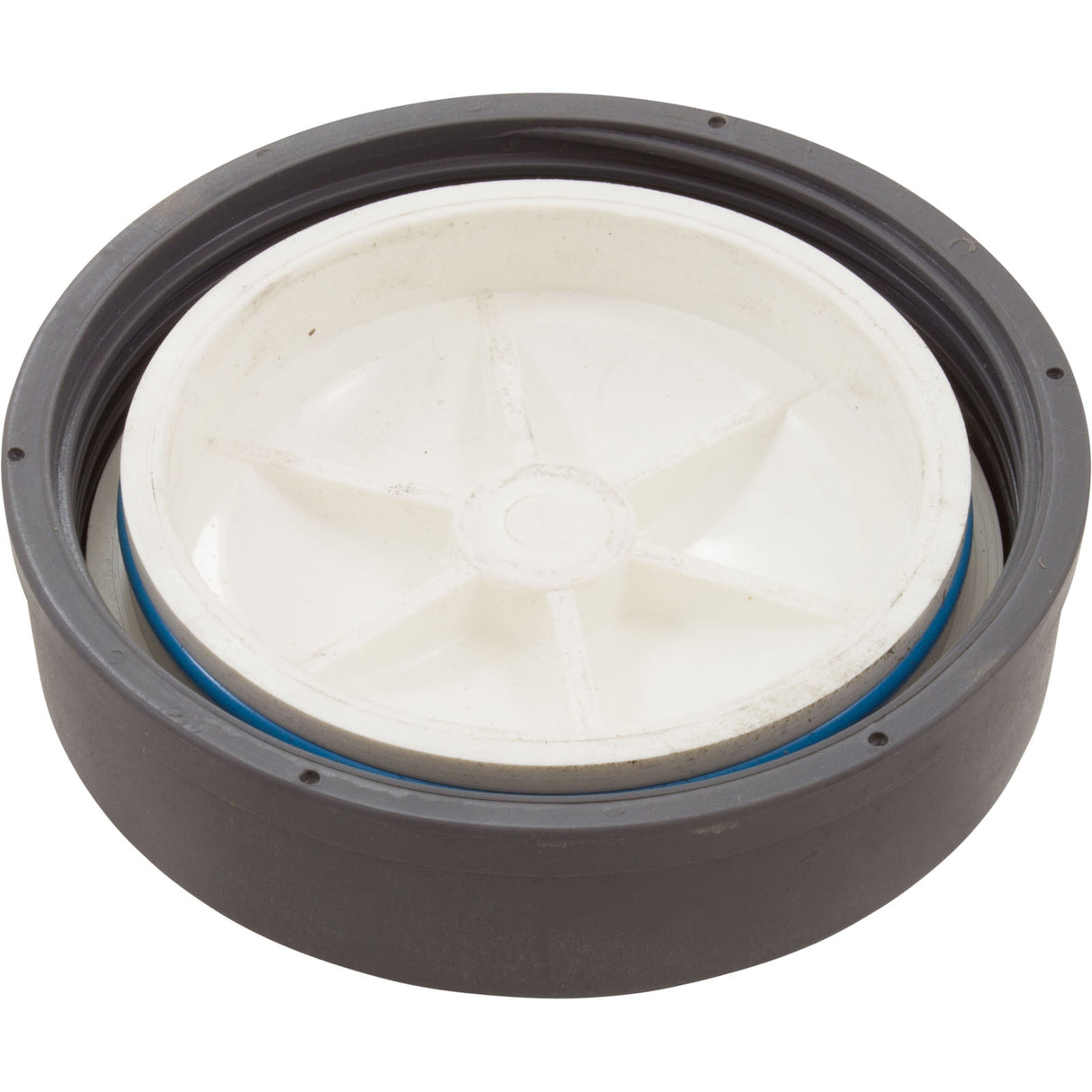 Lid Assembly, Waterco Chlorinator, w/O-Ring : WC64102 - Waterco - WC64102 - PartsForSpas.com
