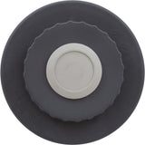 Lid Assembly, Waterco Chlorinator, w/O-Ring : WC64102 - Waterco - WC64102 - PartsForSpas.com