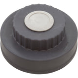 Lid Assembly, Waterco Chlorinator, w/O-Ring : WC64102 - Waterco - WC64102 - PartsForSpas.com