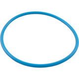 O-Ring, Waterco Chlorinator, Lid, Viton : WC64100