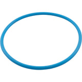 O-Ring, Waterco Chlorinator, Lid, Viton : WC64100