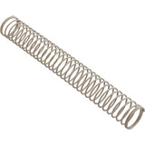 Tube Support Spring, Aquastar ChemStar CH100 : CH1027 - AquaStar - 883612078168 - PartsForSpas.com