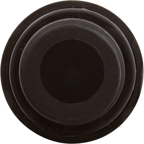 Check Valve, Aquastar ChemStar CH100 : CH1010 - AquaStar - 883612078427 - PartsForSpas.com