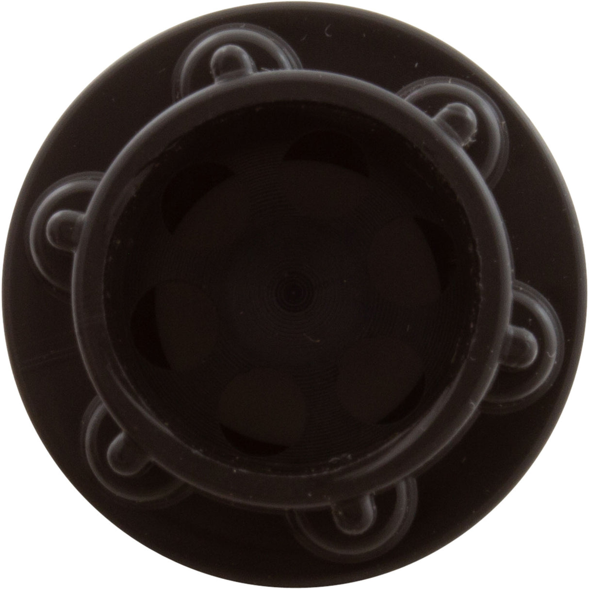 Check Valve, Aquastar ChemStar CH100 : CH1010 - AquaStar - 883612078427 - PartsForSpas.com