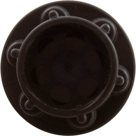 Check Valve, Aquastar ChemStar CH100 : CH1010 - AquaStar - 883612078427 - PartsForSpas.com