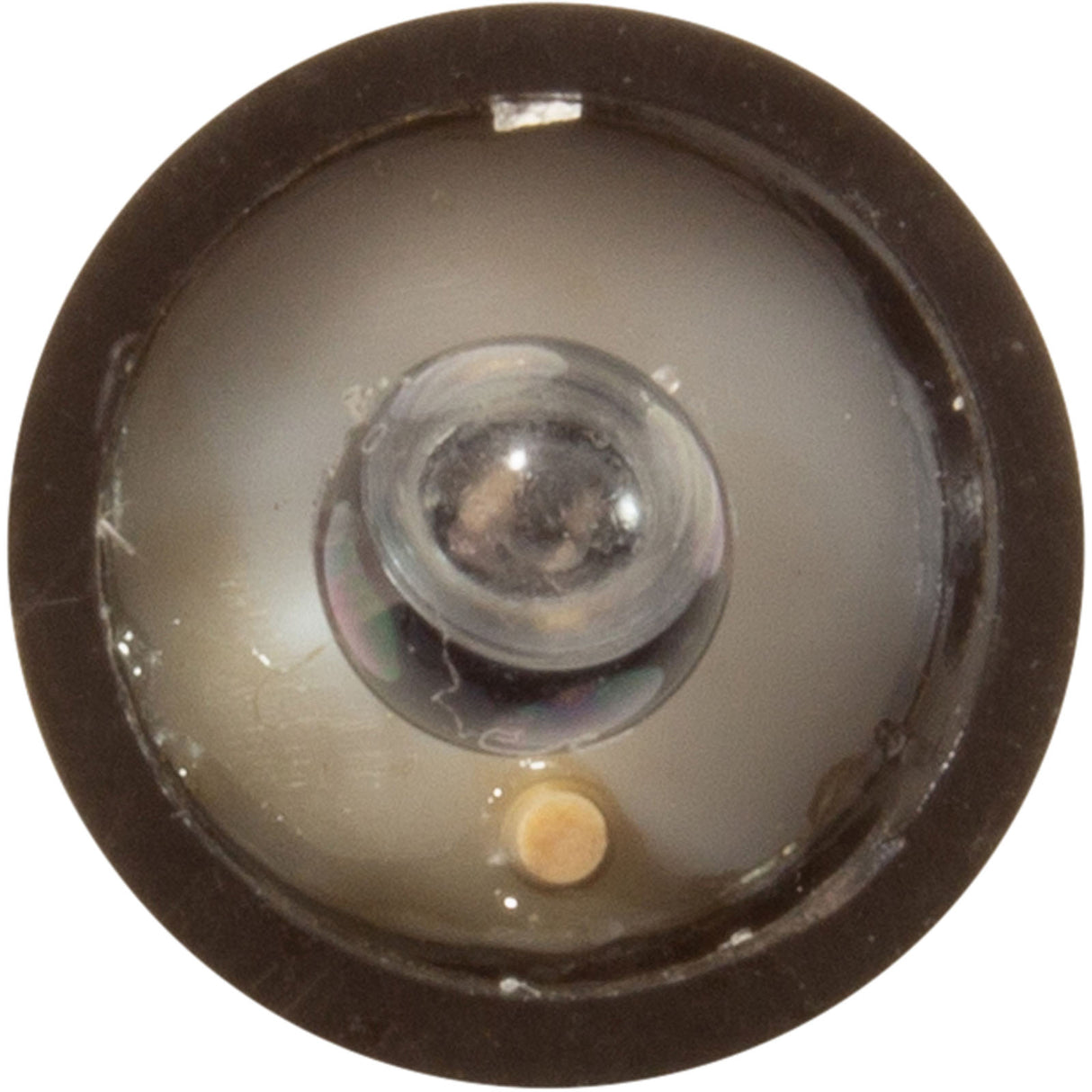 PH Probe, Solaxx, SafeDip replacement probe : MET20A-040 - Solaxx - MET20A-040 - PartsForSpas.com