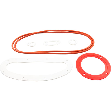 Gasket Kit, Zodiac Jandy JXi 200/260/400 : R0590900 - Zodiac/Jandy - 052337067294 - PartsForSpas.com