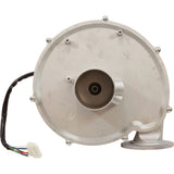 Blower Assembly Kit, Zodiac Jandy JXi 200/260/400 : R0591100 - Zodiac/Jandy - 052337067348 - PartsForSpas.com