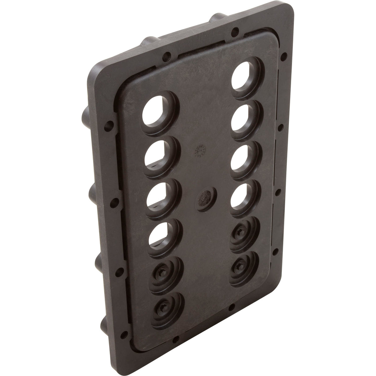 Manifold Backplate Kit, Zodiac Jandy JXi 260 : R0590003 - Zodiac/Jandy - 052337067218 - PartsForSpas.com