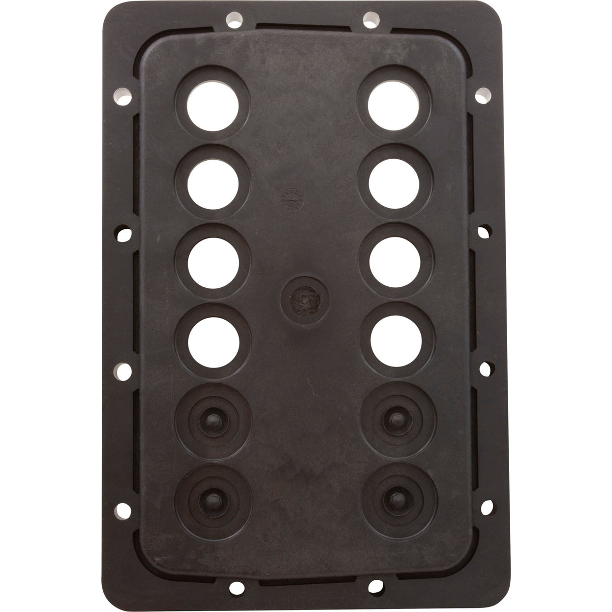 Manifold Backplate Kit, Zodiac Jandy JXi 260 : R0590003 - Zodiac/Jandy - 052337067218 - PartsForSpas.com