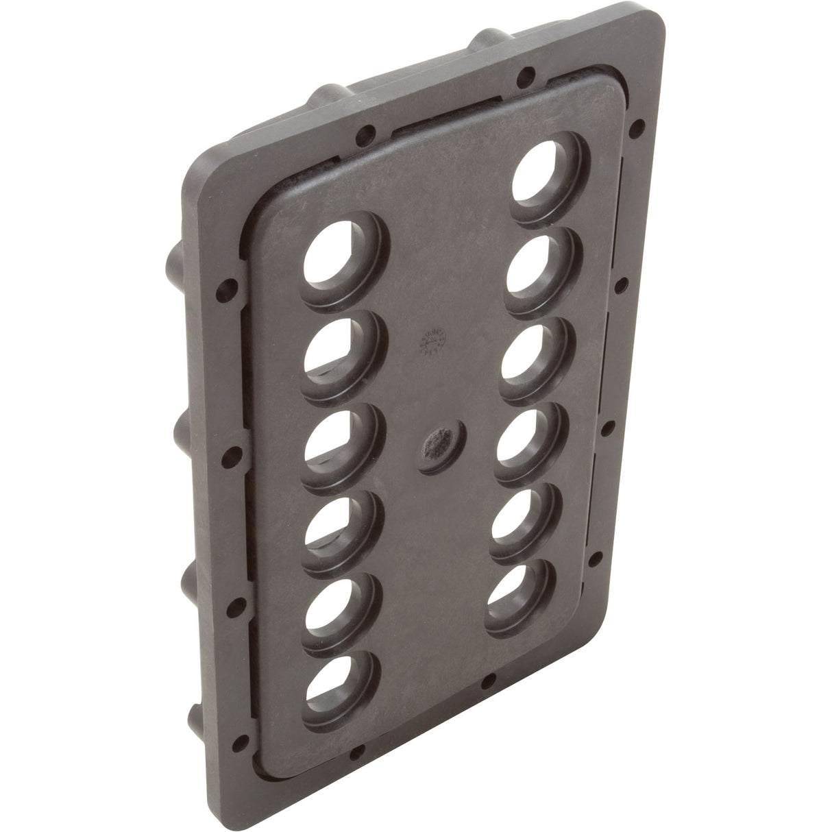 Manifold Backplate Kit, Zodiac Jandy JXi 400 : R0590005 - Zodiac/Jandy - 052337067232 - PartsForSpas.com
