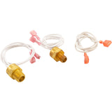 High Limit Sensor Kit, Zodiac Jandy JXi 200/260/400 : R0592300 - Zodiac/Jandy - 052337067539 - PartsForSpas.com