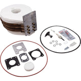 Tube Sheet Coil Assy, Pent Max-E-Therm 200HD, After 1-12-09 : 474062 - Pentair - 788379792008 - PartsForSpas.com