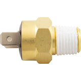 Gas Shutoff Switch, Pentair Max-E-Therm/MasterTemp : 42002-0025S - StaRite/Pentair - 022315301610 - PartsForSpas.com