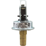 Pressure Switch, 3A, Pentair Max-E-Therm/MasterTemp, ASME : 473716Z