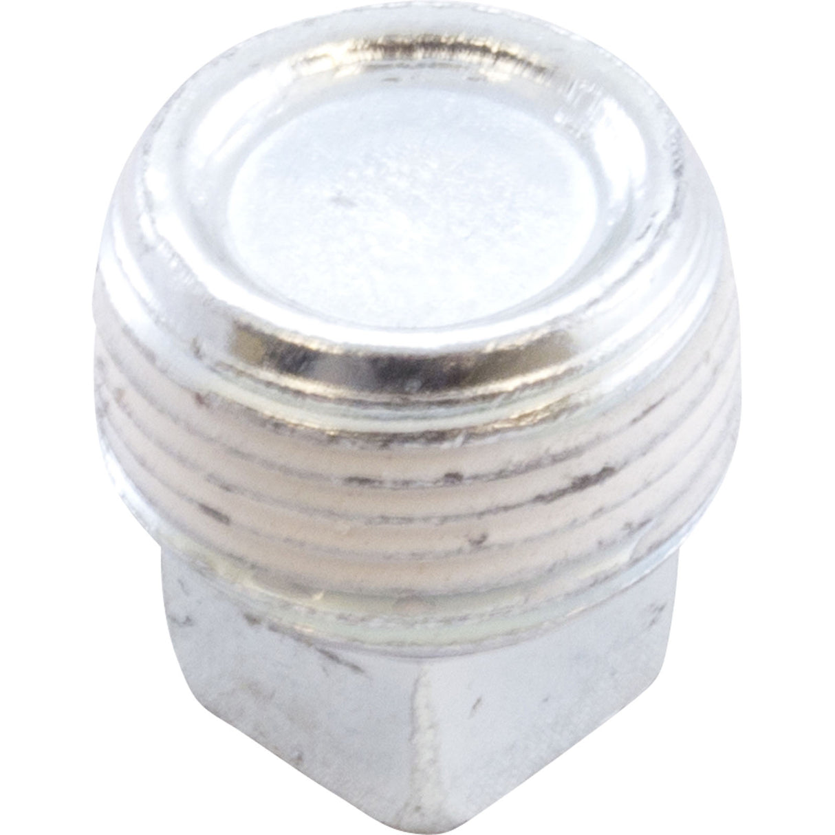 Plug, Pentair MasterTemp/Max-E-Therm, 3/4" mpt, Zinc : U78-60ZPS - StaRite/Pentair - U78-60ZPS - PartsForSpas.com
