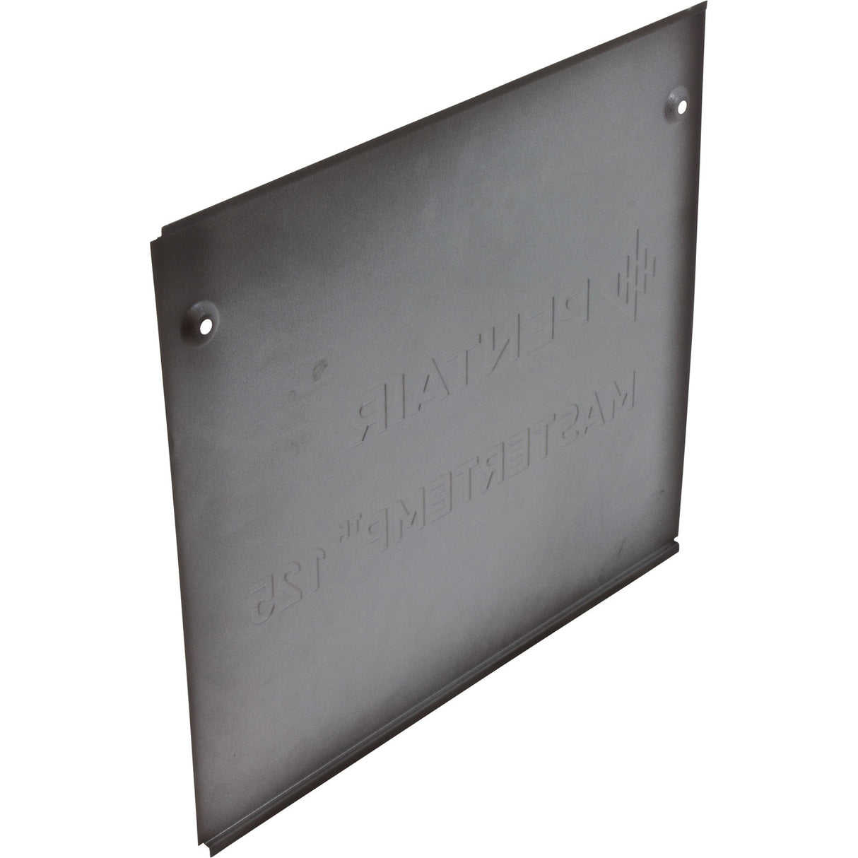 Side Panel, Pentair MasterTemp 125, Service Panel : 474991 - StaRite/Pentair - 788379864484 - PartsForSpas.com