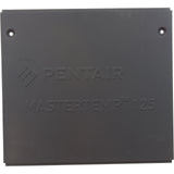 Side Panel, Pentair MasterTemp 125, Service Panel : 474991 - StaRite/Pentair - 788379864484 - PartsForSpas.com